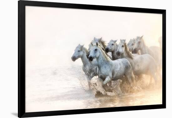 White Horses of Camargue Running in the Mediterranean Water at Sunrise-Sheila Haddad-Framed Photographic Print