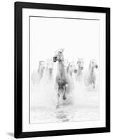 White Horses of Camargue Running Through the Water, Camargue, France-Nadia Isakova-Framed Premium Photographic Print