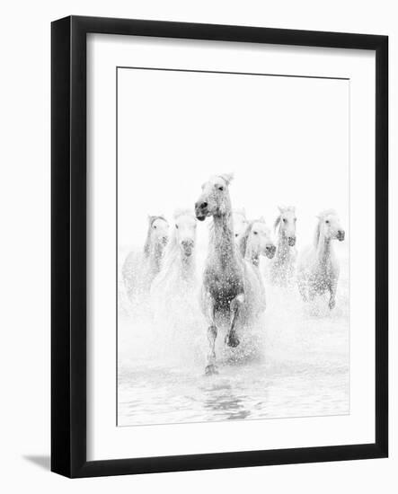 White Horses of Camargue Running Through the Water, Camargue, France-Nadia Isakova-Framed Photographic Print