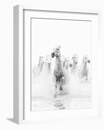 White Horses of Camargue Running Through the Water, Camargue, France-Nadia Isakova-Framed Photographic Print