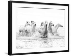 White Horses of Camargue Running Through the Water, Camargue, France-Nadia Isakova-Framed Photographic Print