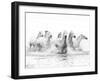 White Horses of Camargue Running Through the Water, Camargue, France-Nadia Isakova-Framed Photographic Print