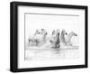 White Horses of Camargue Running Through the Water, Camargue, France-Nadia Isakova-Framed Photographic Print