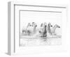 White Horses of Camargue Running Through the Water, Camargue, France-Nadia Isakova-Framed Photographic Print