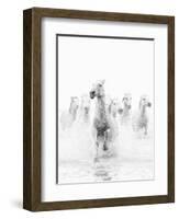 White Horses of Camargue Running Through the Water, Camargue, France-Nadia Isakova-Framed Photographic Print