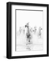 White Horses of Camargue Running Through the Water, Camargue, France-Nadia Isakova-Framed Photographic Print