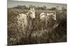 White Horses-David Winston-Mounted Giclee Print