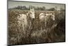 White Horses-David Lorenz Winston-Mounted Art Print