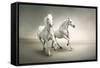 White Horses-varijanta-Framed Stretched Canvas