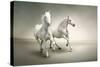 White Horses-varijanta-Stretched Canvas