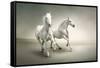 White Horses-varijanta-Framed Stretched Canvas