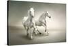 White Horses-varijanta-Stretched Canvas