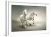 White Horses-varijanta-Framed Art Print