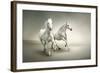 White Horses-varijanta-Framed Art Print