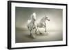 White Horses-varijanta-Framed Art Print