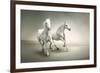 White Horses-varijanta-Framed Art Print