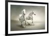 White Horses-varijanta-Framed Art Print