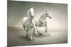 White Horses-varijanta-Mounted Art Print