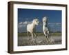 White Horses-Rostovskiy Anton-Framed Giclee Print