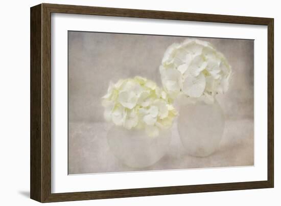 White Hortensia Still Life-Cora Niele-Framed Photographic Print