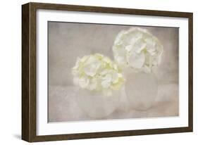 White Hortensia Still Life-Cora Niele-Framed Photographic Print