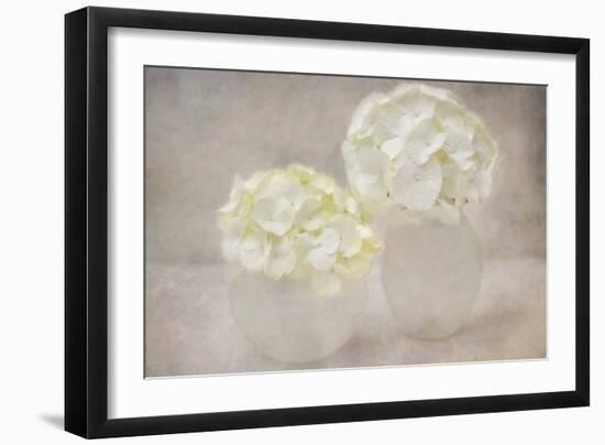 White Hortensia Still Life-Cora Niele-Framed Photographic Print