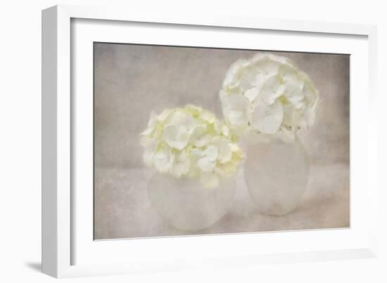 White Hortensia Still Life-Cora Niele-Framed Photographic Print