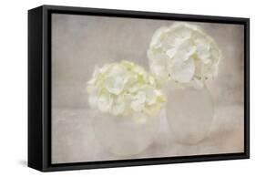 White Hortensia Still Life-Cora Niele-Framed Stretched Canvas