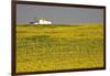 White House above Sunflower Field in Spain-Julianne Eggers-Framed Photographic Print