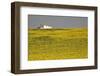 White House above Sunflower Field in Spain-Julianne Eggers-Framed Photographic Print