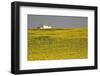 White House above Sunflower Field in Spain-Julianne Eggers-Framed Photographic Print