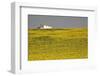 White House above Sunflower Field in Spain-Julianne Eggers-Framed Photographic Print