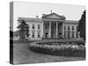 White House and Iris Garden-null-Stretched Canvas