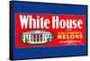 White House Brand California Melons-null-Framed Stretched Canvas