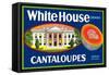 White House Cantaloupe Label-null-Framed Stretched Canvas