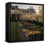 White House Rose Garden-null-Framed Stretched Canvas