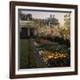 White House Rose Garden-null-Framed Photographic Print