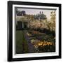 White House Rose Garden-null-Framed Photographic Print