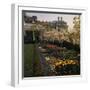 White House Rose Garden-null-Framed Photographic Print