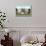 White House, Washington, D.C.-null-Mounted Premium Giclee Print displayed on a wall