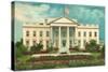 White House, Washington D.C.-null-Stretched Canvas