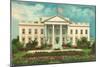 White House, Washington D.C.-null-Mounted Art Print
