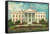 White House, Washington D.C.-null-Framed Stretched Canvas