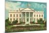 White House, Washington D.C.-null-Mounted Premium Giclee Print