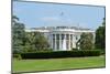 White House - Washington DC-Orhan-Mounted Photographic Print