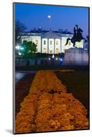 White House with flowers at dusk, Washington DC, USA-null-Mounted Photographic Print