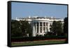 White House-kuosumo-Framed Stretched Canvas