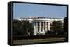 White House-kuosumo-Framed Stretched Canvas