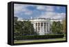 White House-jgroup-Framed Stretched Canvas