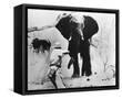 Framed Canvas